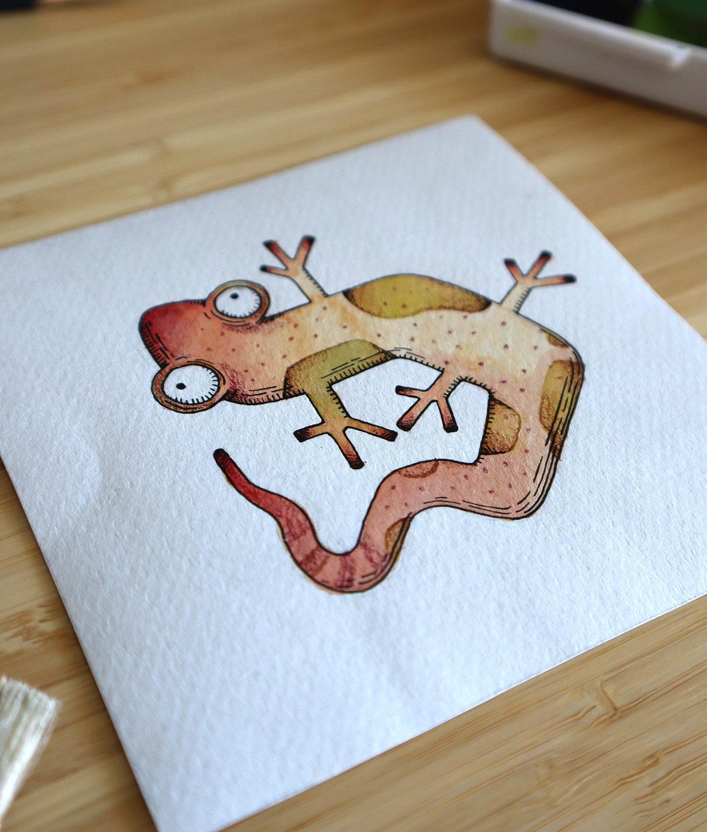 Salamander