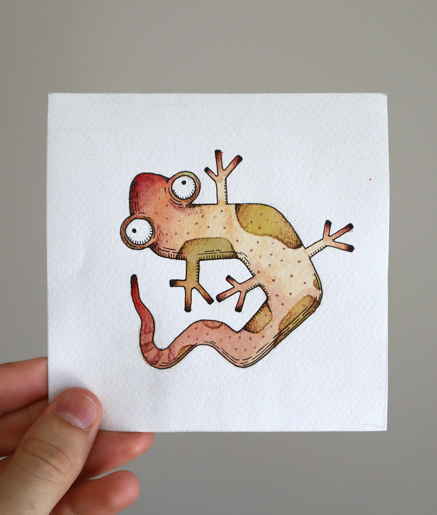 Salamander